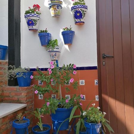 Casa Rural Patio Rociero 埃尔罗西奥 外观 照片